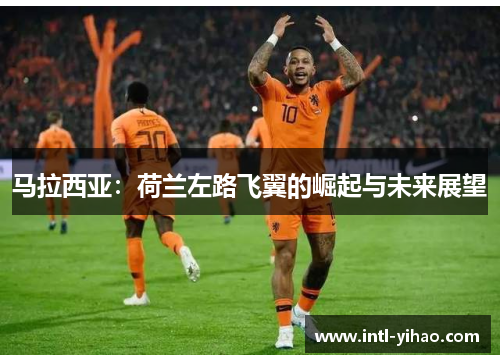 马拉西亚：荷兰左路飞翼的崛起与未来展望
