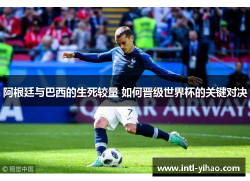阿根廷与巴西的生死较量 如何晋级世界杯的关键对决 阿根廷与巴西的生死较量 如何晋级世界杯的关键对决