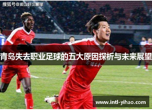 青岛失去职业足球的五大原因探析与未来展望