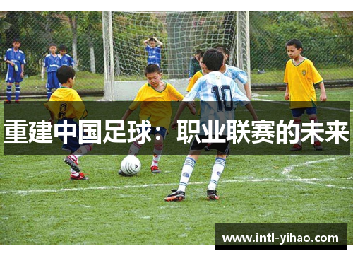 重建中国足球：职业联赛的未来