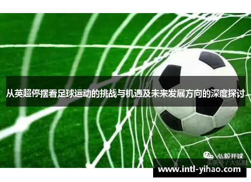 从英超停摆看足球运动的挑战与机遇及未来发展方向的深度探讨