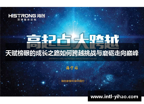 天赋榜眼的成长之路如何跨越挑战与磨砺走向巅峰
